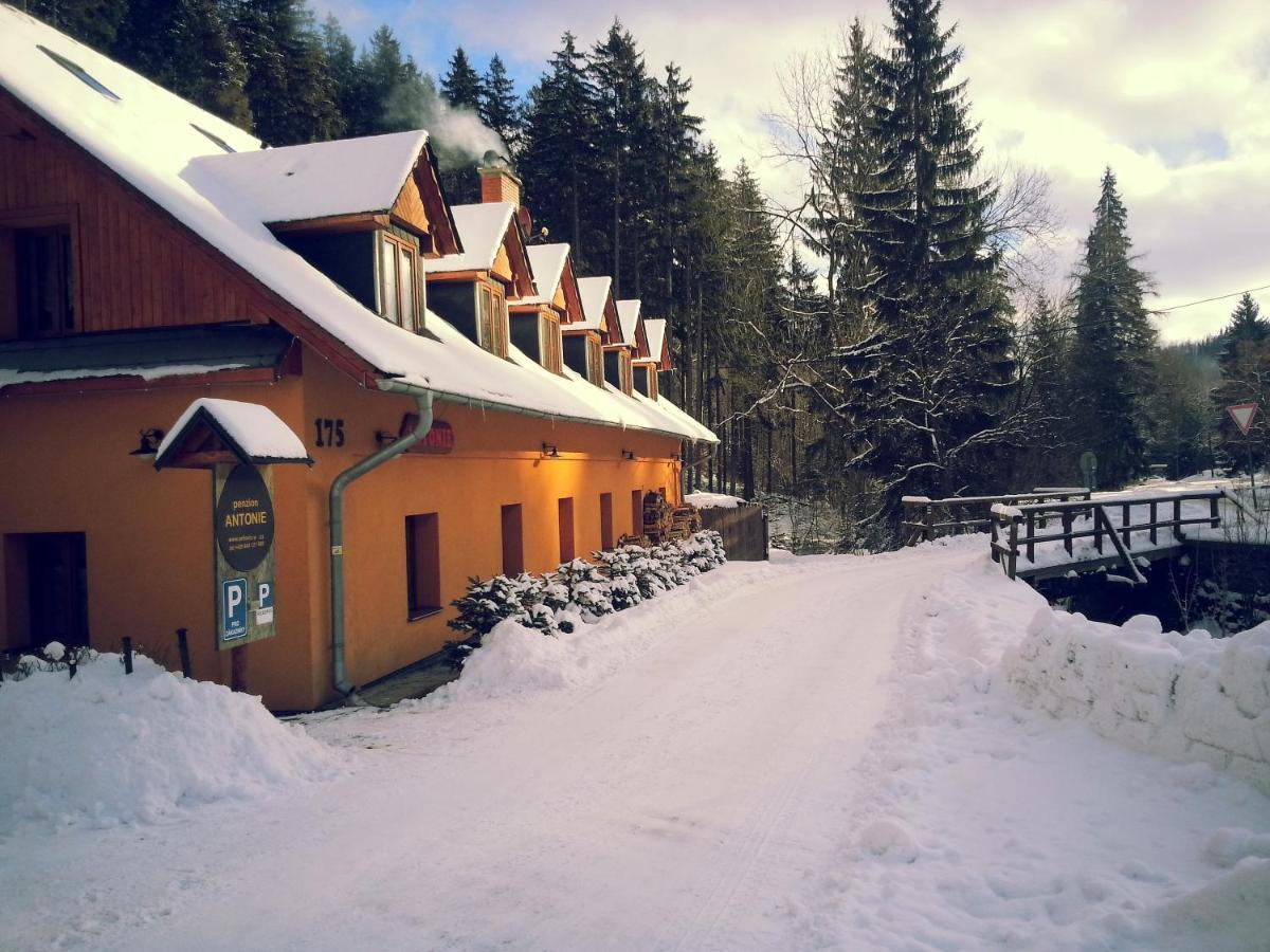 Penzion Antonie Hotel Malá Morávka Buitenkant foto